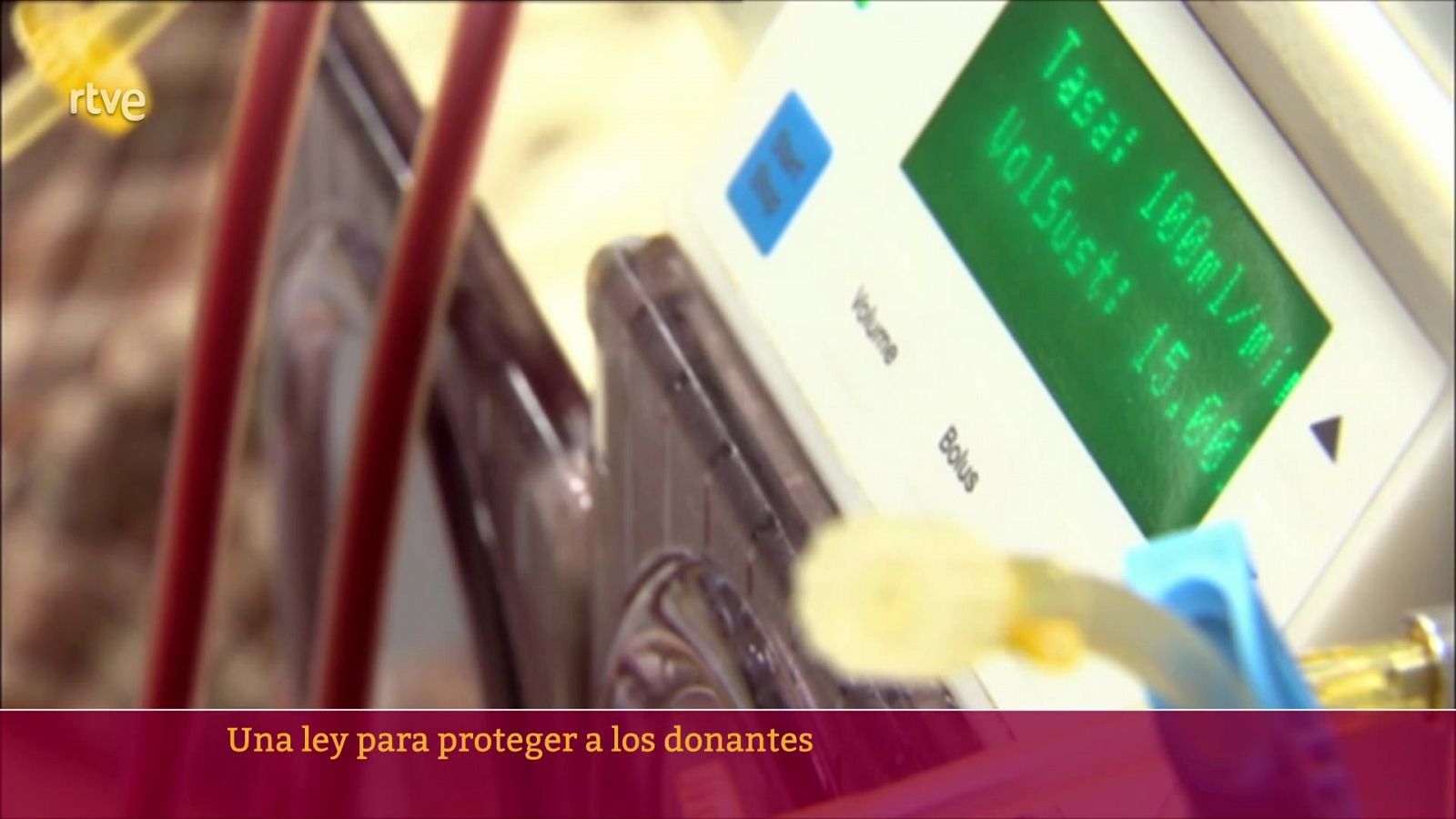 Parlamento - El reportaje - Proteger a los donantes de órganos - 20/05/2023