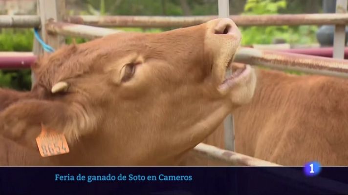 Informativo Telerioja - Informativo Telerioja  - 22/05/23