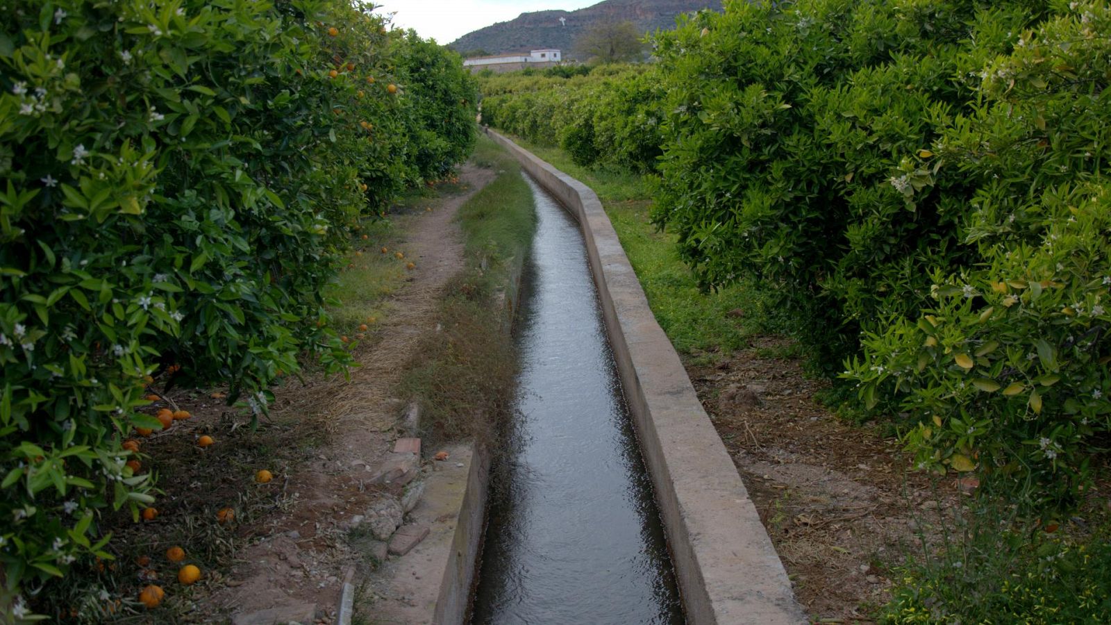 Torreadrada, un pueblo que mantiene el riego tradicional 