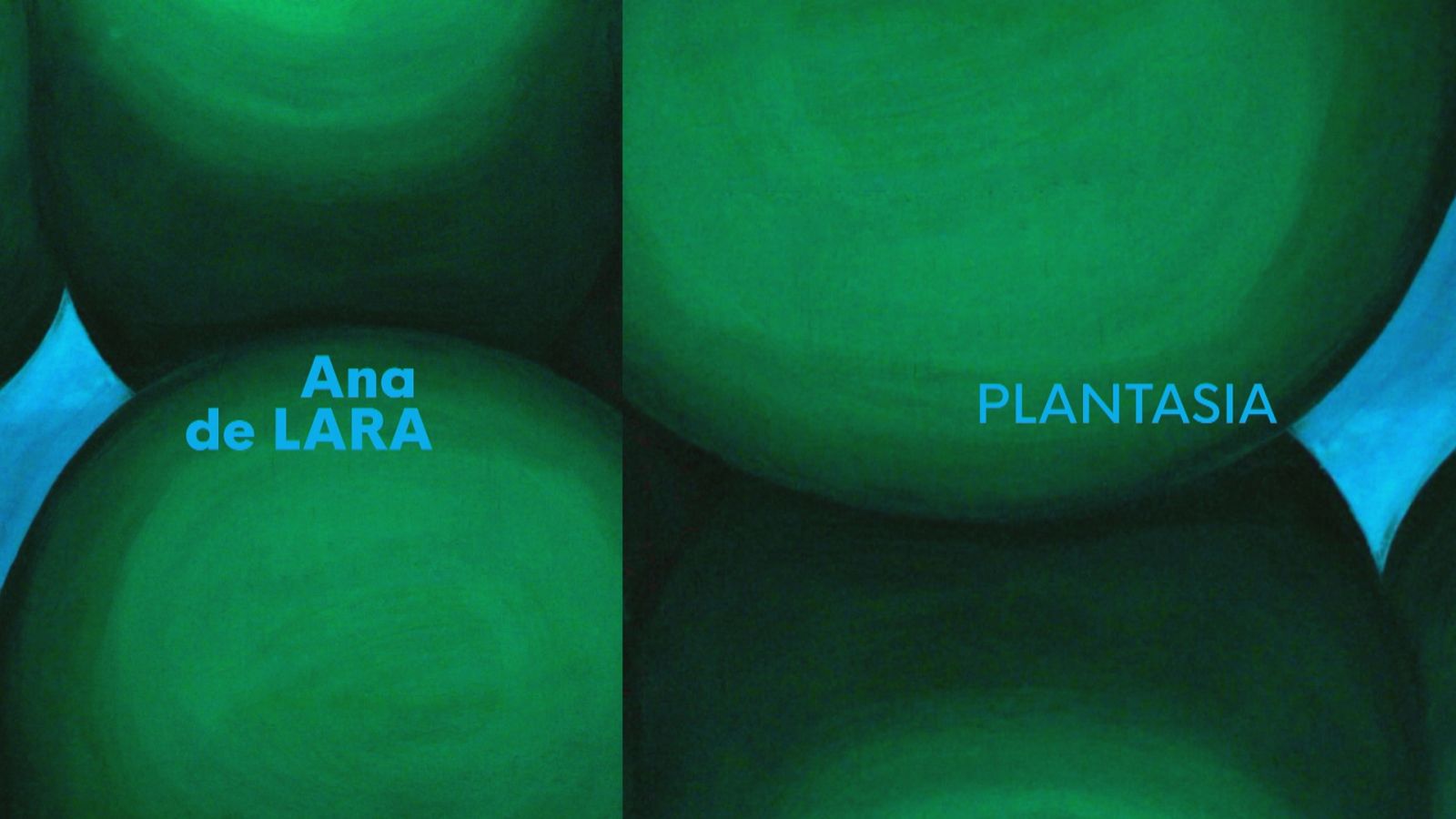 Ana de Lara y su 'Plantasia' - Ver ahora