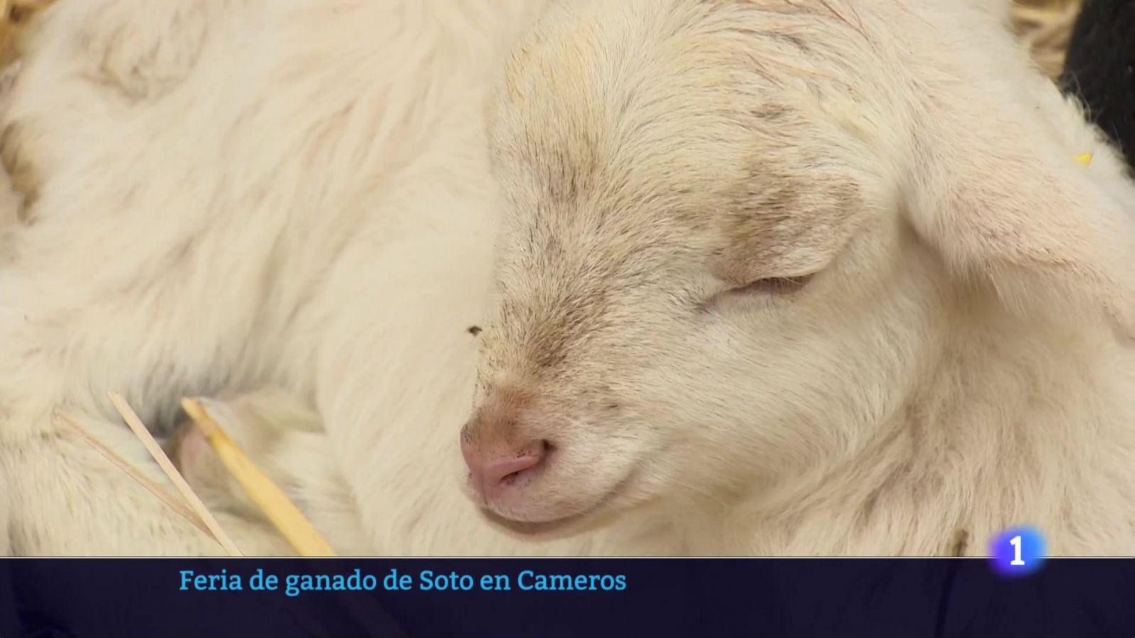 El tiempo en La Rioja - 22/05/23 - RTVE.es