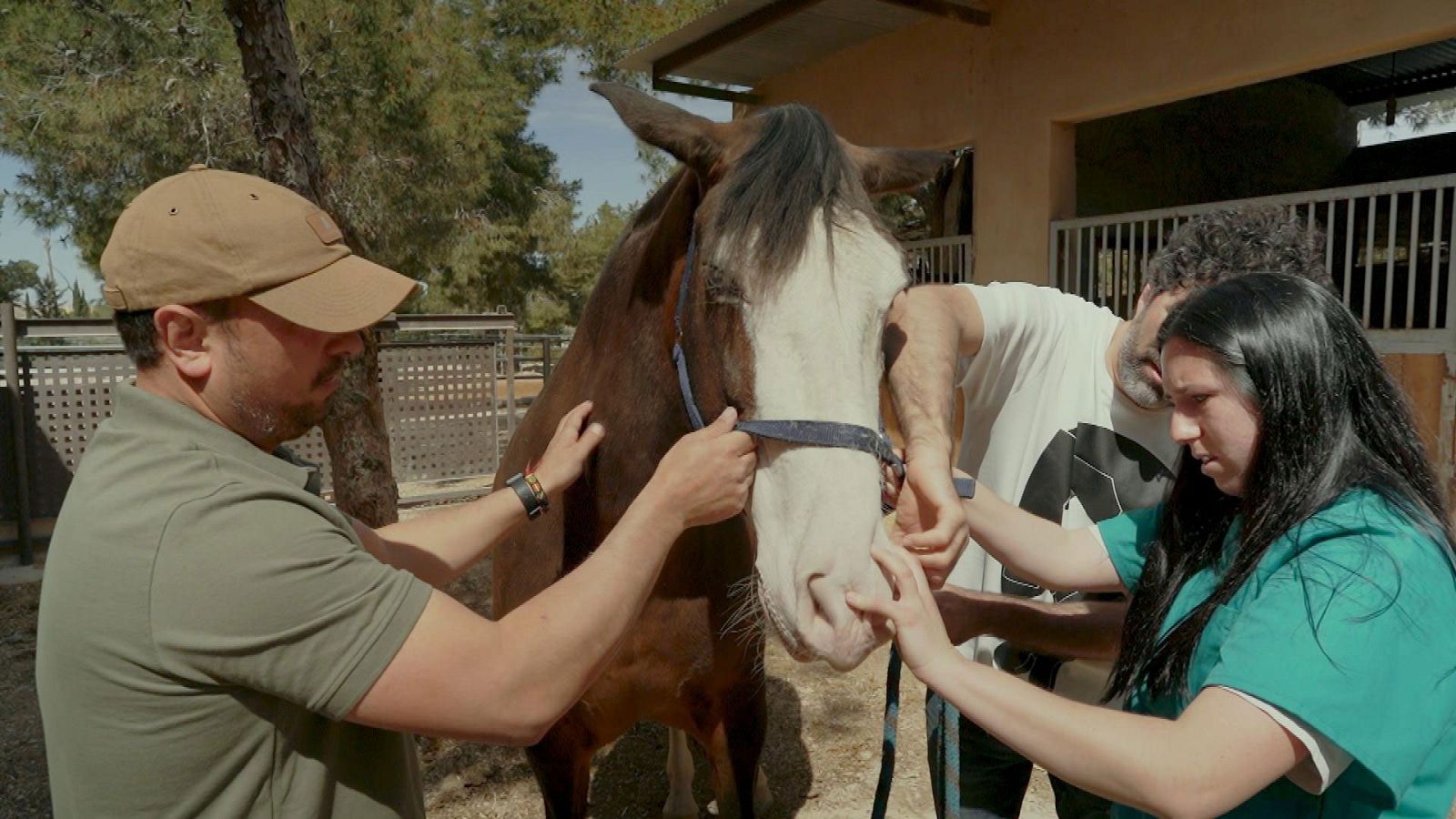Ruralitas - Las Fuentes y El Salado - ver ahora