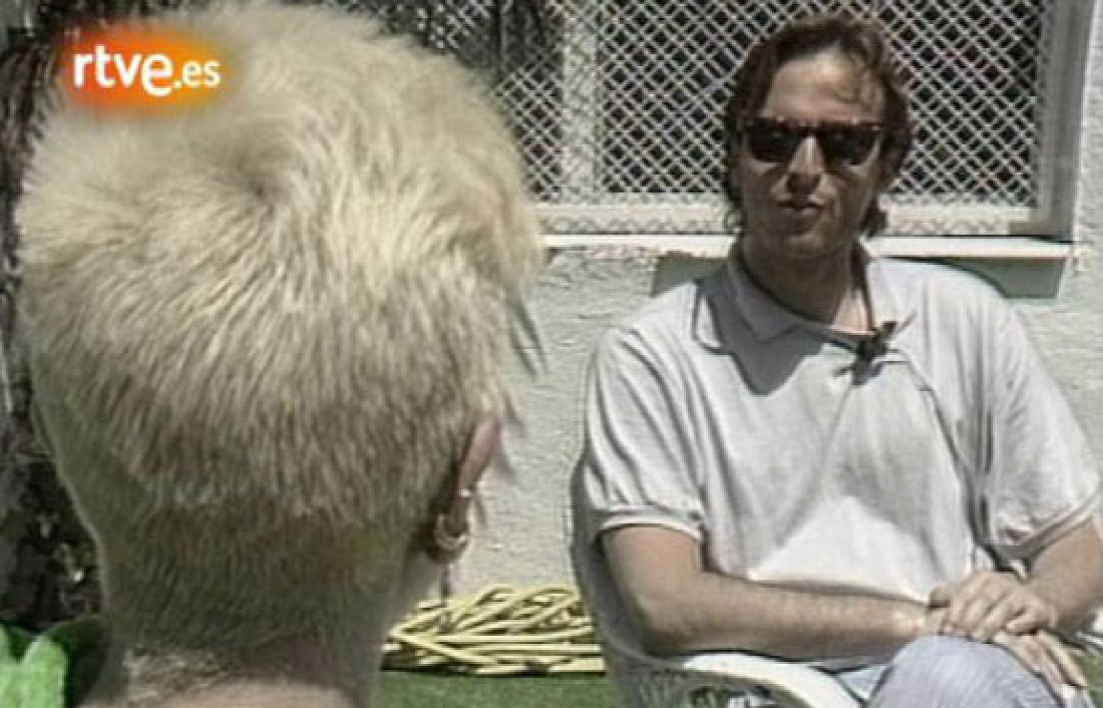 Karmele Mertxante entrevista a Miguel Bosé en 1986 - Programas y Concursos en el Archivo de RTVE | Ver