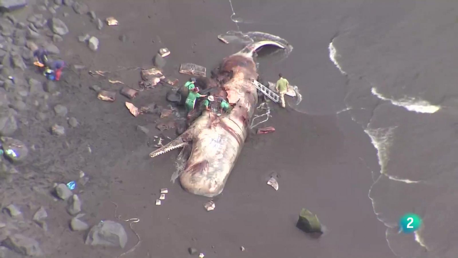 Telecanarias 2 - 23/05/2023