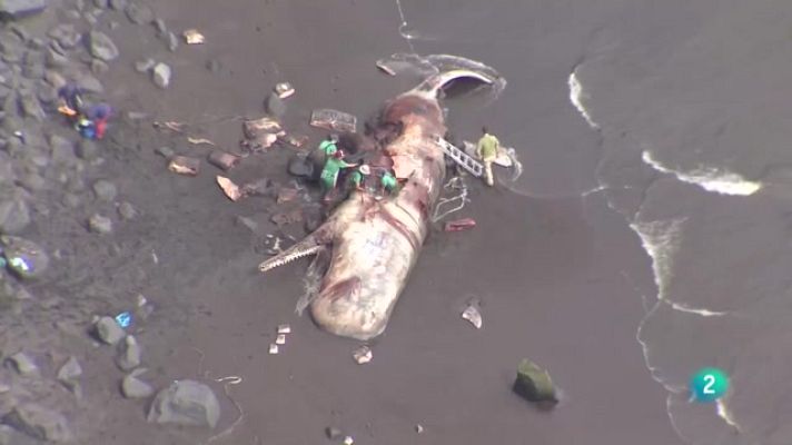 Telecanarias - Telecanarias 2 - 23/05/2023