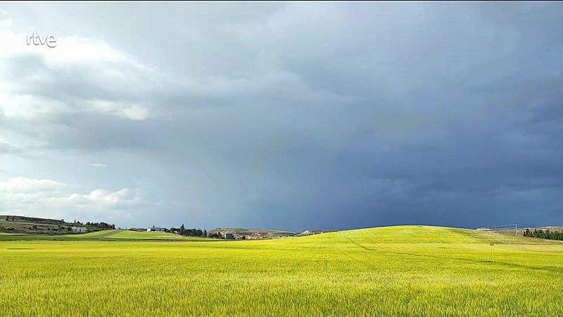 Chubascos y tormentas localmente fuertes o muy fuertes en áreas de la mitad oriental peninsular y de Baleares - ver ahora