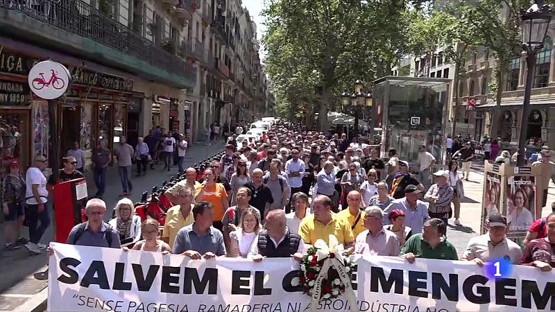 Mobilització de la pagesia de Lleida a Barcelona