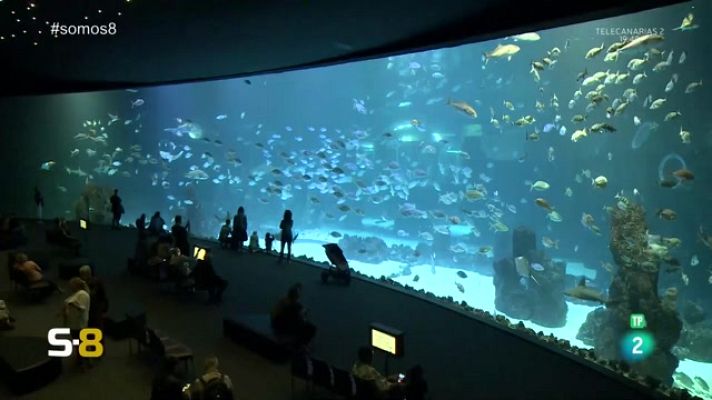 Somos 8 - Somos 8 - 24/05/2023