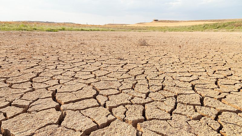 El campo sigue sufriendo los efectos de la sequía y, con las restricciones de agua, se ha activado la compraventa de derechos de riego, aunque la mesa social del agua teme que haya especulación con este bien público.