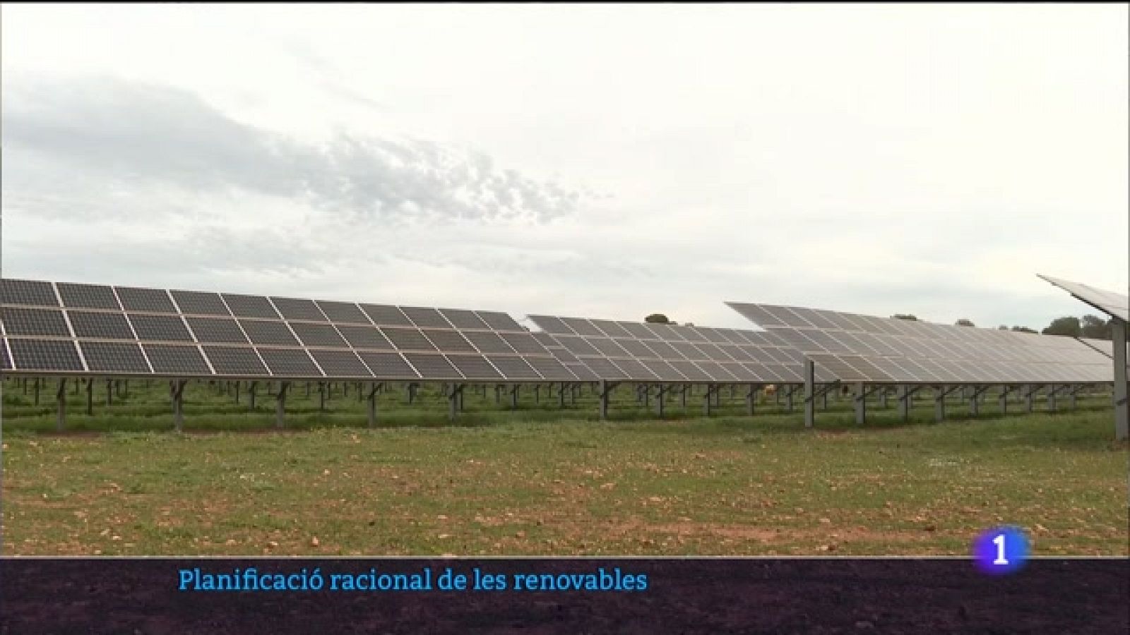 Informatiu Balear 2 - 25/05/23 - Veure ara