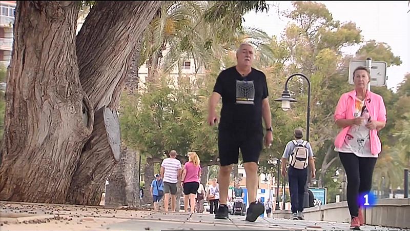 L'Informatiu de la Comunitat Valenciana 2 - 25/05/23 ver ahora