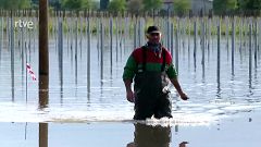 Objetivo Planeta - Adaptación climática, ¿estamos preparados?