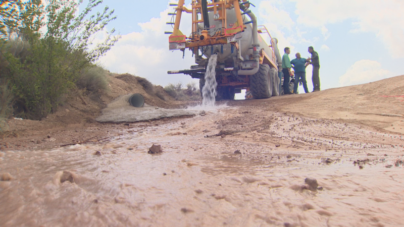 El ganado de Tarazona se queda sin agua para beber por la falta de lluvia