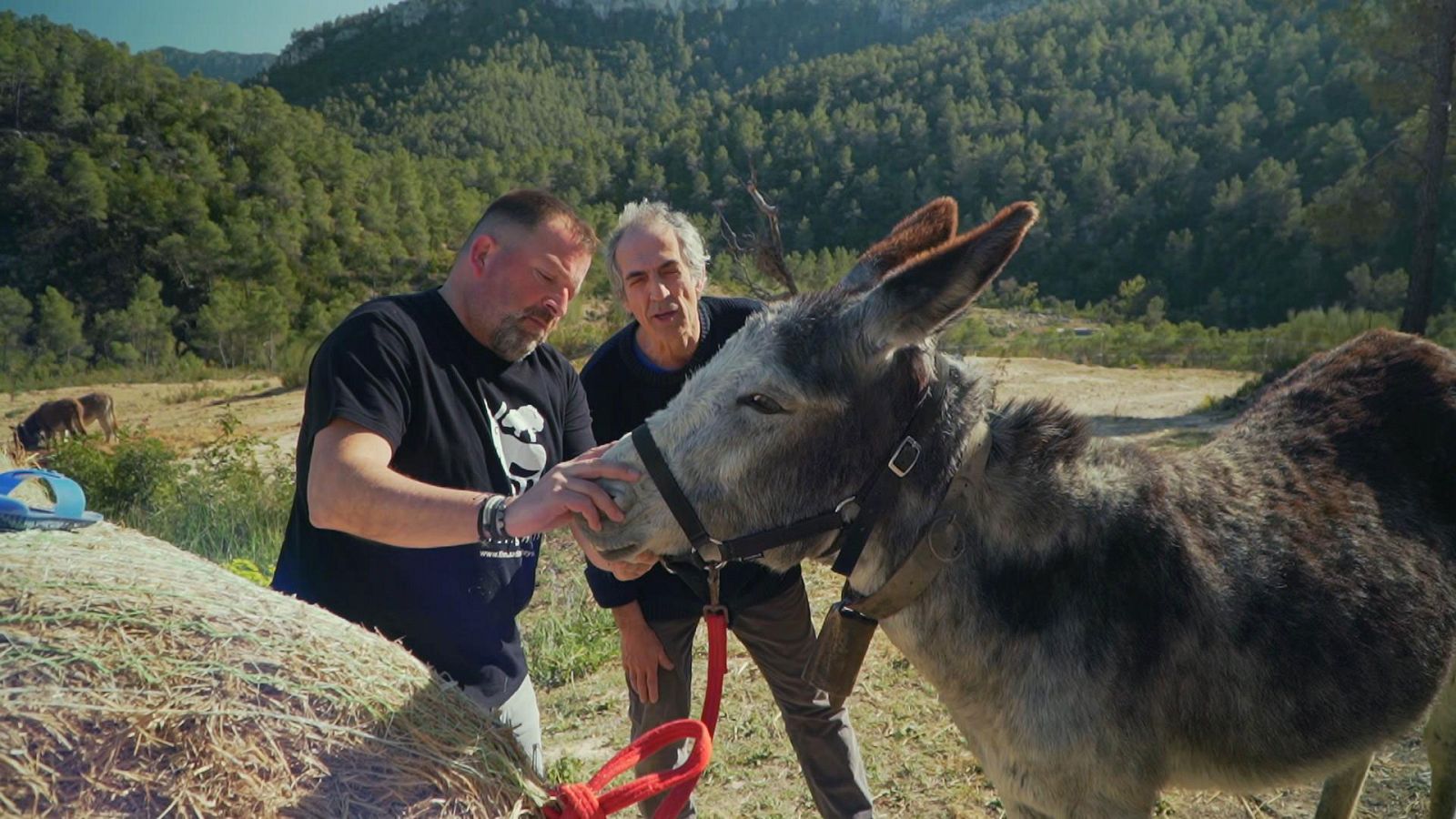 Ruralitas - Serra d'Almos y Las Navas