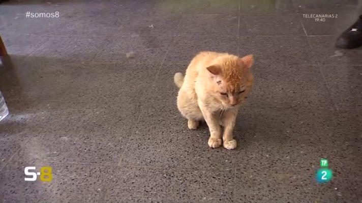 Somos 8 - Somos 8 - 26/05/2023