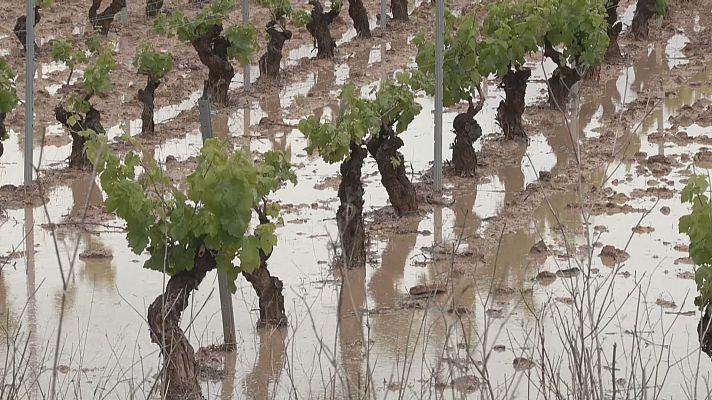 Agrosfera - 27/05/23