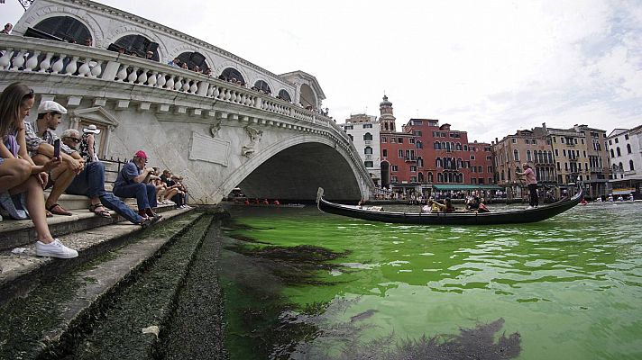 La tarde en 24h - El agua del Gran Canal de Venecia se tiñe de verde fluorescente