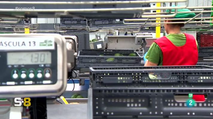 Somos 8 - Somos 8 - 29/05/2023