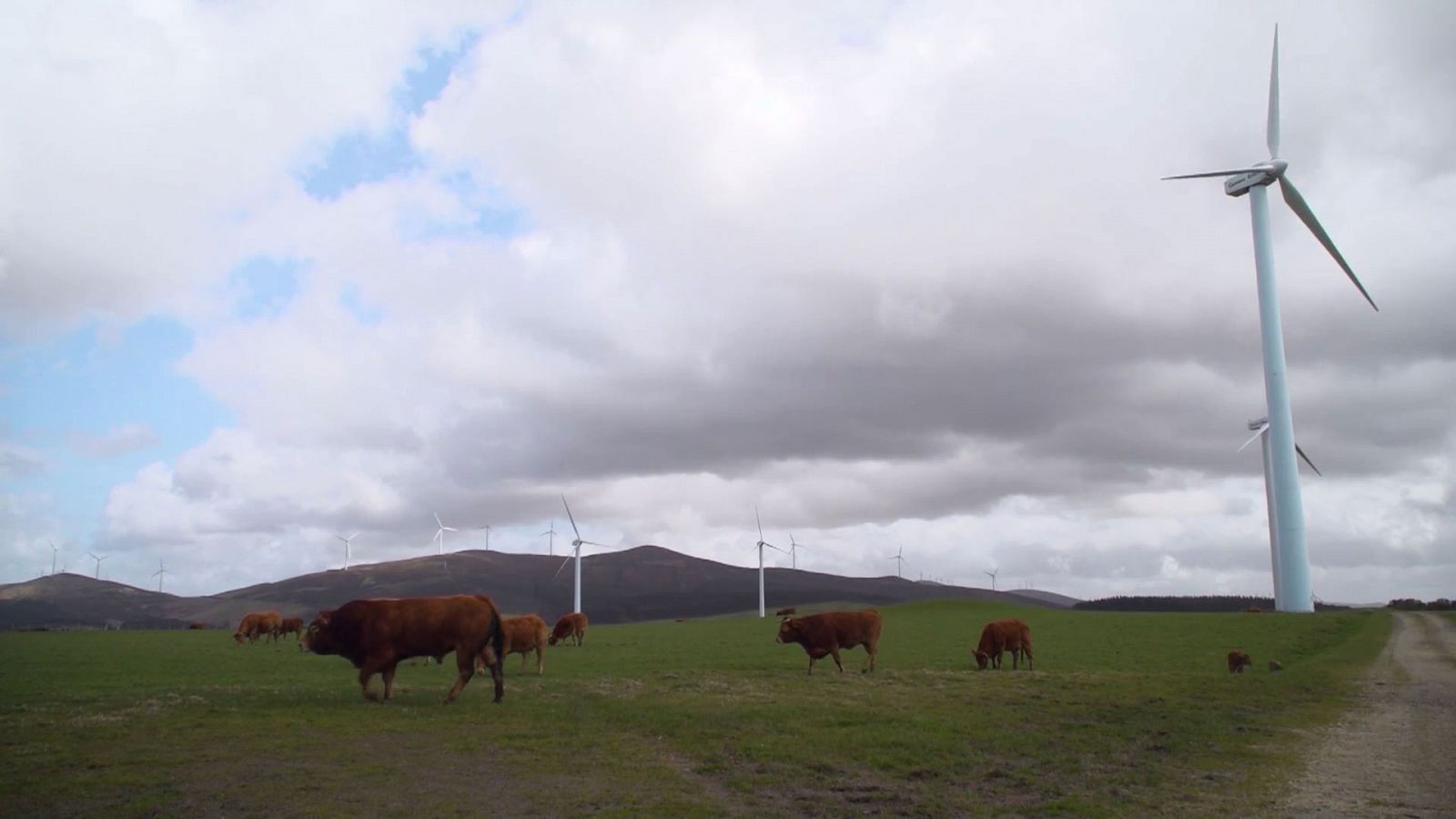 Comando actualidad - Energía verde, ¿a qué precio?