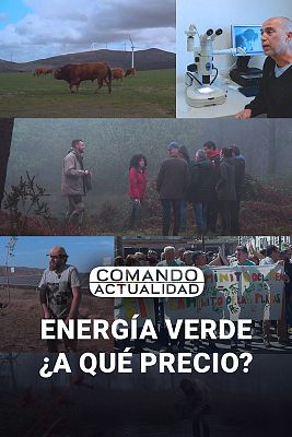 Energía verde, ¿a qué precio?