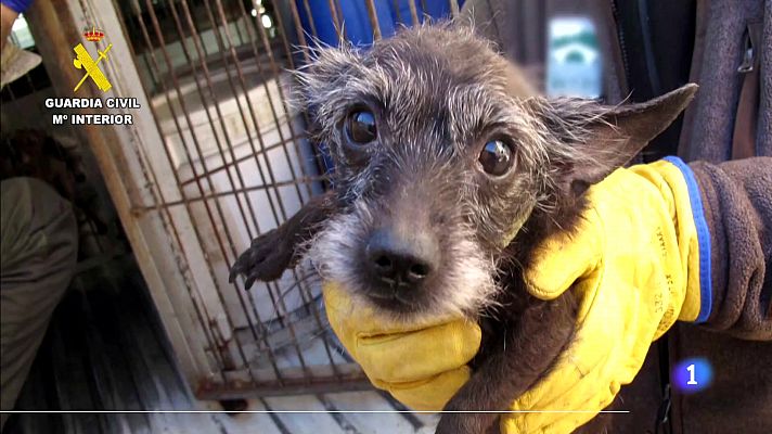 Informativo Telerioja - Telerioja en 2' - 30/05/23