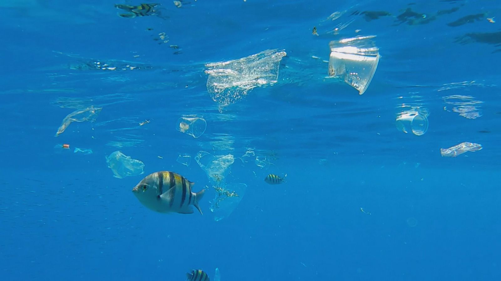 Un Mediterráneo lleno de plástico