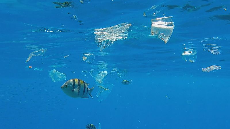 Un Mediterráneo lleno de plástico - Ver ahora
