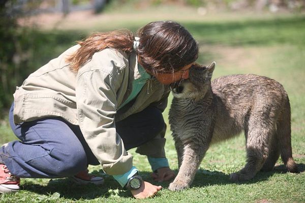 Para todos La 2 - Protección de fauna y flora autóctonas en Córdoba, Argentina