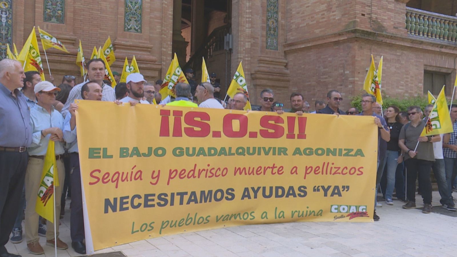 Agricultores en crisis - Ver ahora