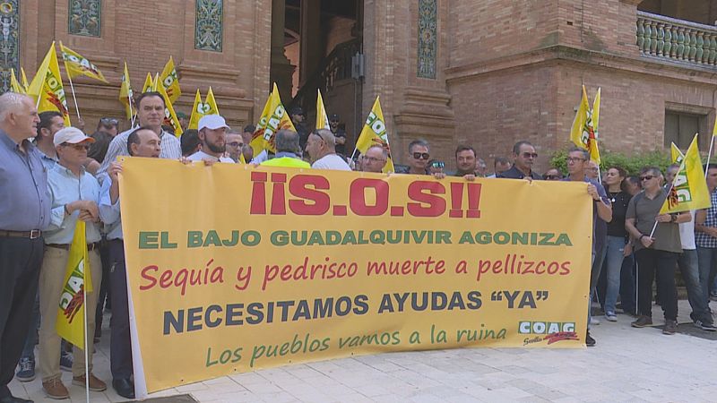 Agricultores en crisis - Ver ahora