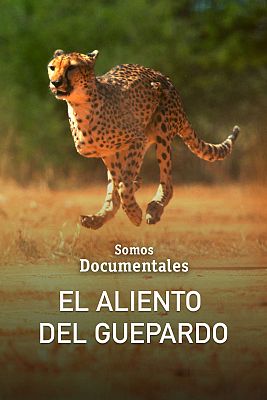 Somos Documentales - El aliento del guepardo