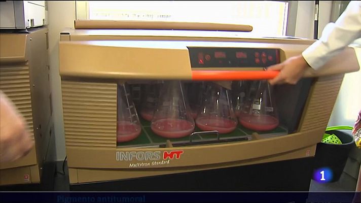 L'informatiu - Comunitat Valenciana - L'Informatiu de la Comunitat Valenciana 2 - 31/05/23