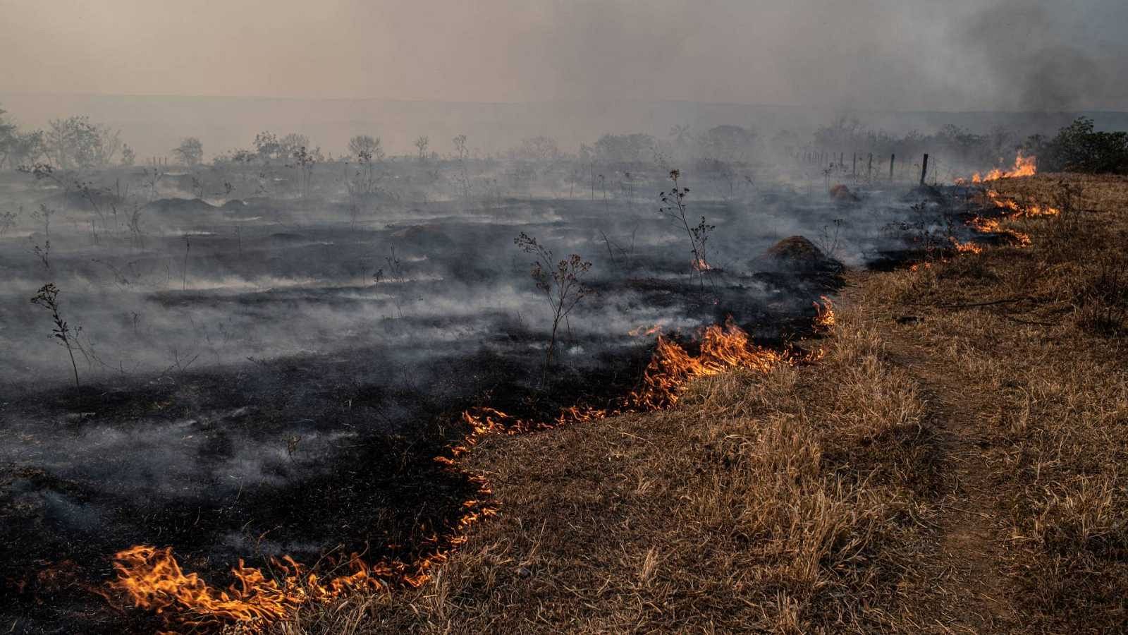 La 'Comisión de la Tierra' alerta de que la humanidad las líneas rojas