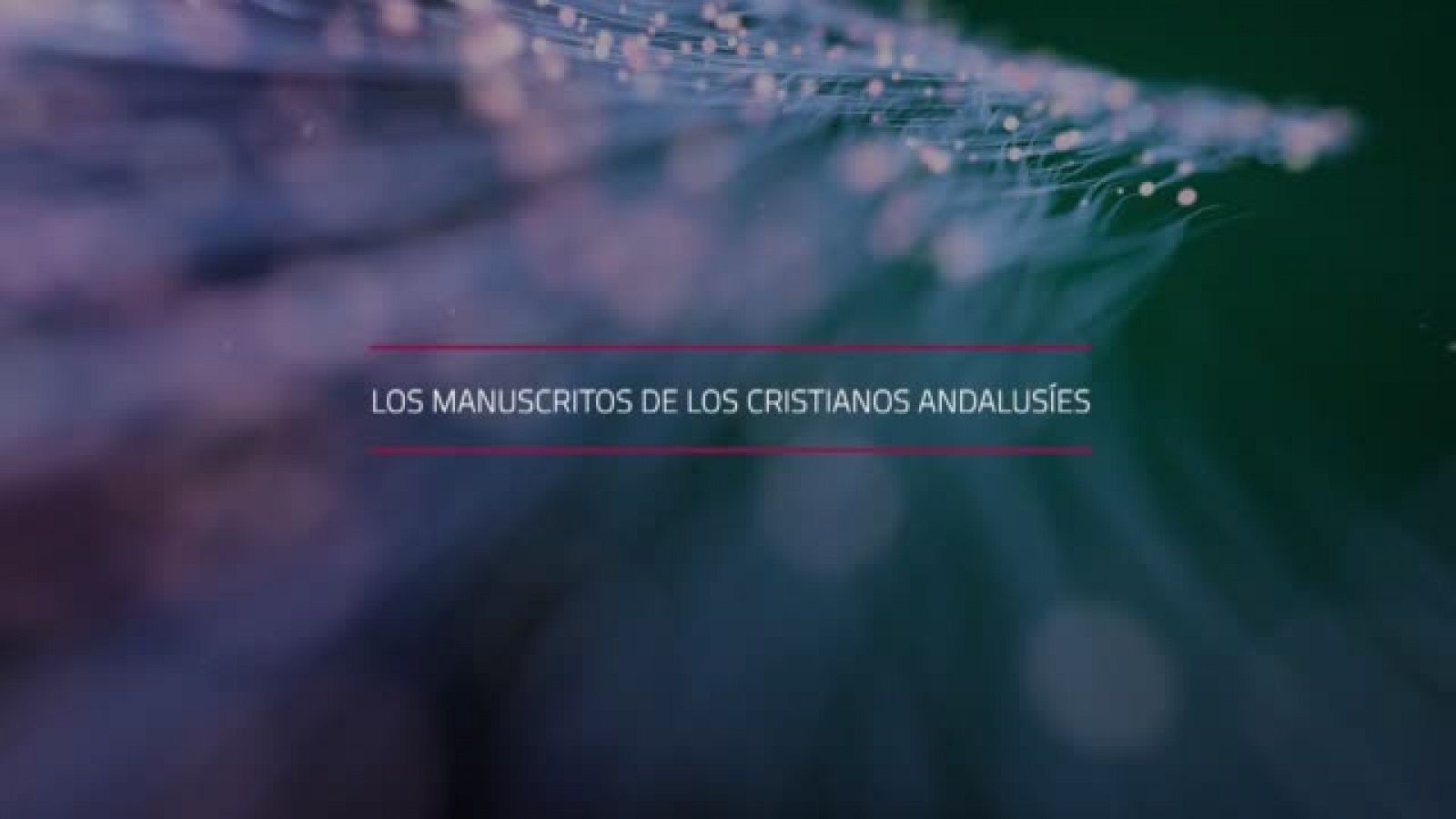 UNED - 02/06/23 - ver ahora