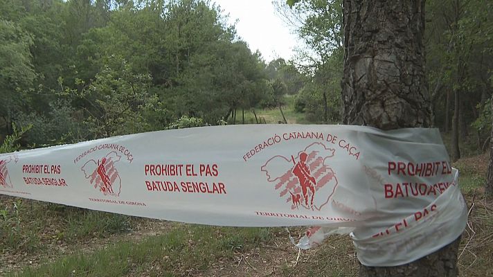 L'Informatiu - Balanç de la primera emergència cinegètica declarada a Catalunya