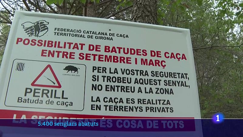 Balanç de la primera emergència cinegètica declarada a Catalunya