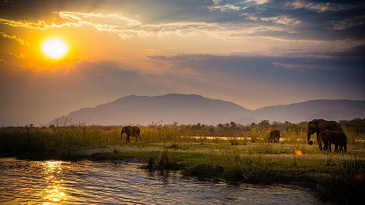 Grandes ríos - Zambeze