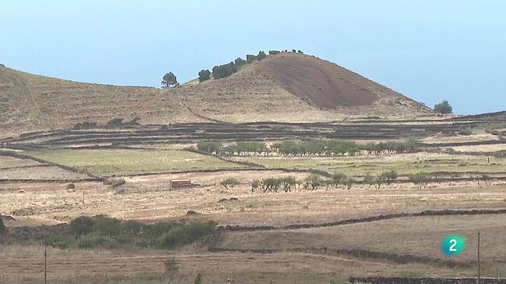 Telecanarias - Telecanarias 2 - 01/06/2023