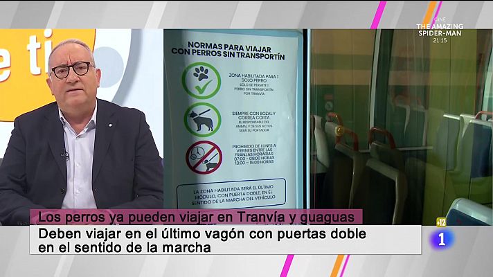 Cerca de ti - Cerca de ti - 02/06/2023