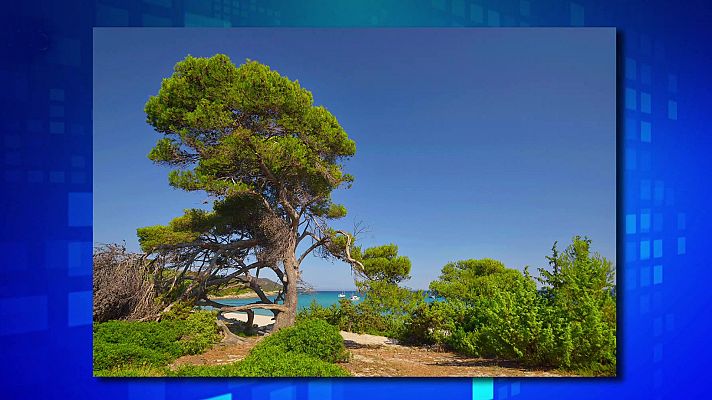 Saber y ganar - Saber y ganar - 06/06/23