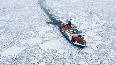 Un ao en el hielo. La deriva rtica