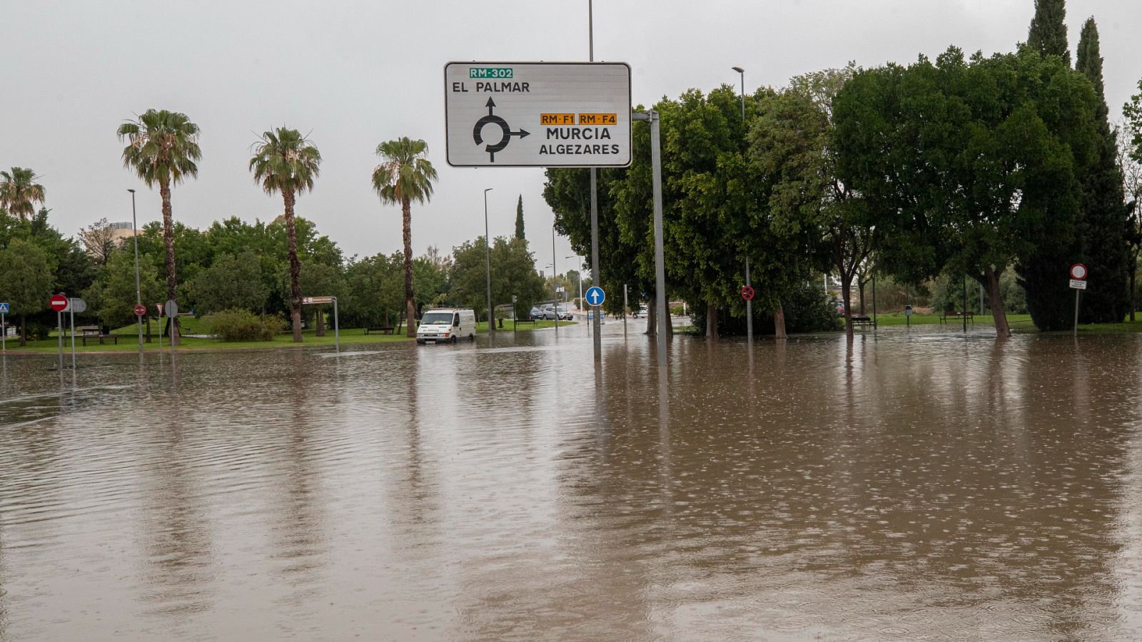 Las lluvias han estropeado el 30% de la cosecha en Murcia