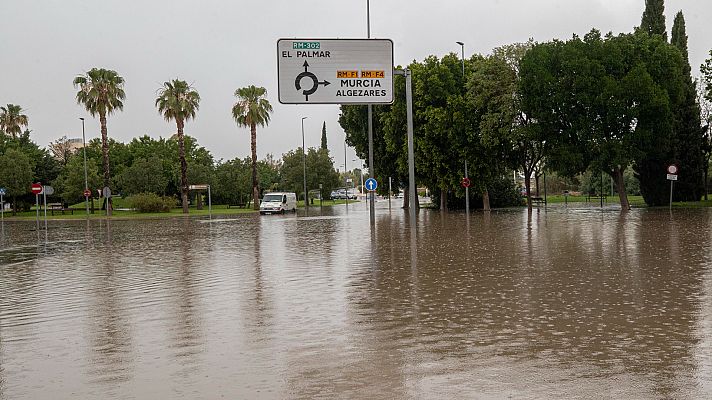 El agua y el granizo han estropeado el 30% de la cosecha de fruta de hueso en Murcia