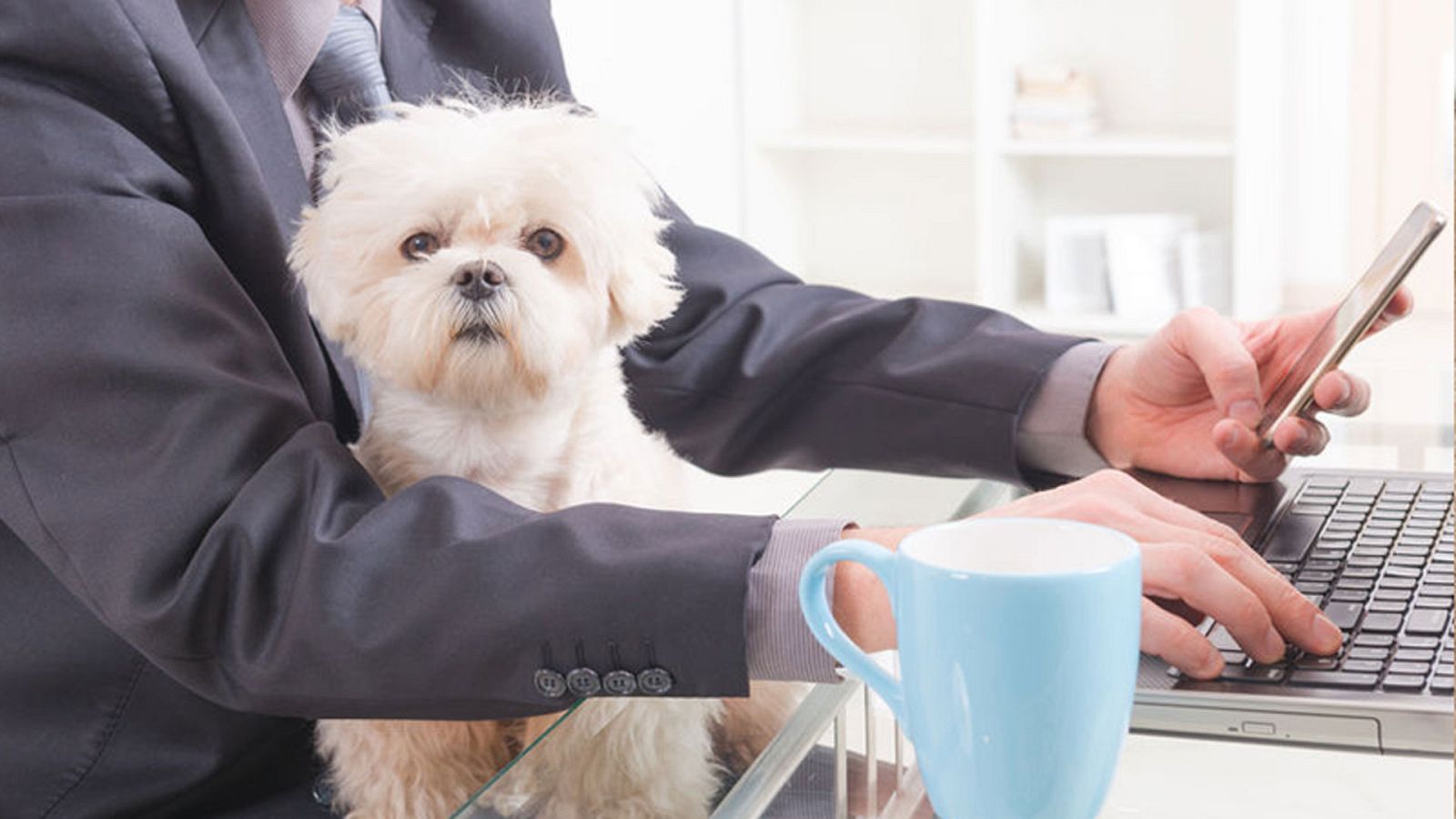 Para todos La2 - 03/06/23 - ver ahora