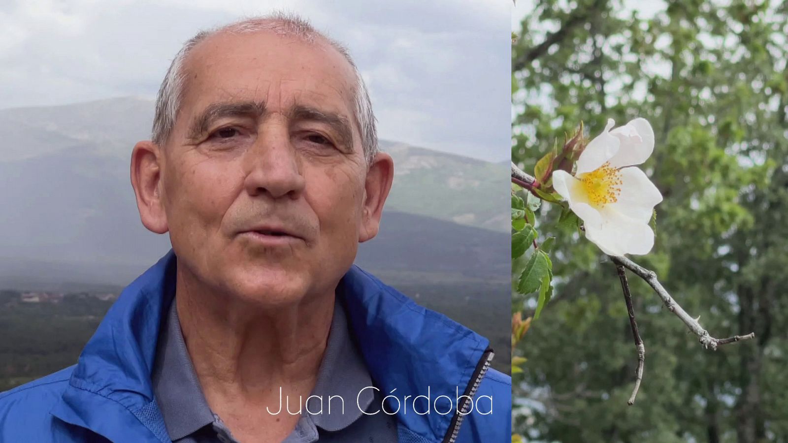 Sin programa: Juan Córdoba - cuidemos la naturaleza | RTVE Play