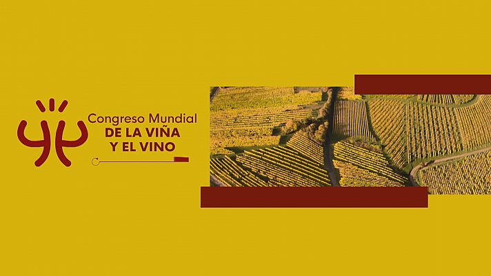 Congreso Mundial del Vino en Jerez y Cádiz