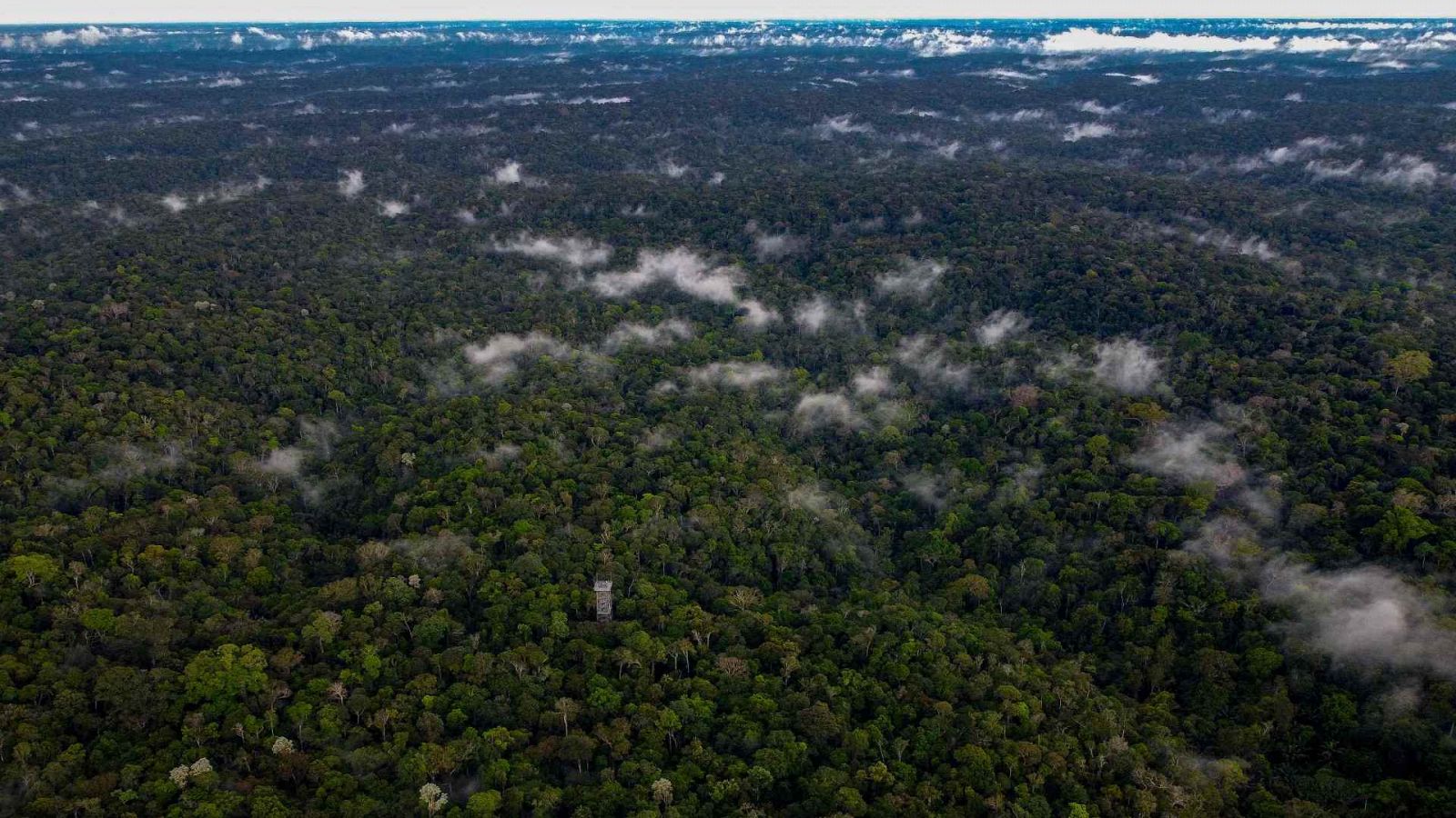 Lula anuncia medidas contra la deforestación