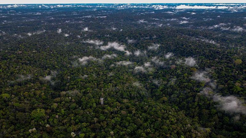 Lula anuncia medidas contra el cambio climático y la deforestación