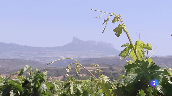 Informativo Telerioja - Telerioja en 2' - 06/06/23