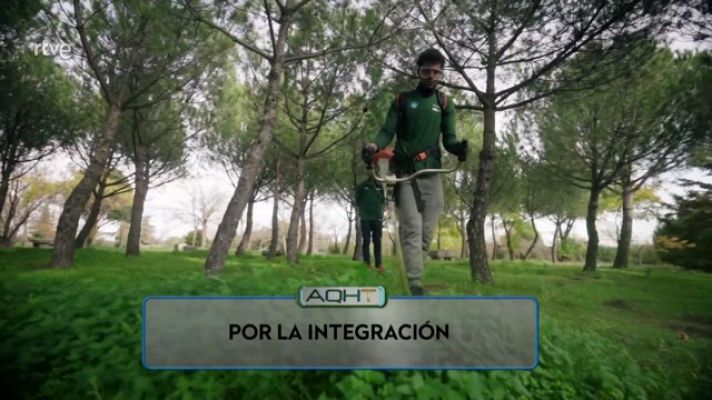 Aquí hay trabajo - Por la integración laboral de todos